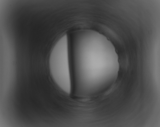 X0000101450132200807071119