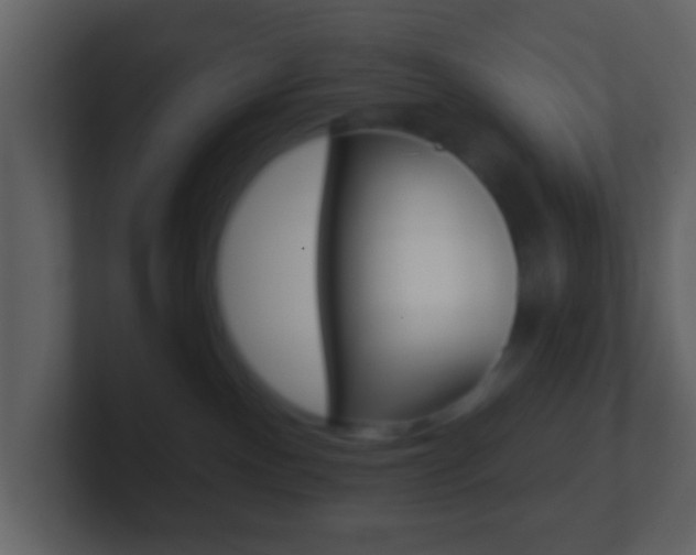 X0000101450140200807071119