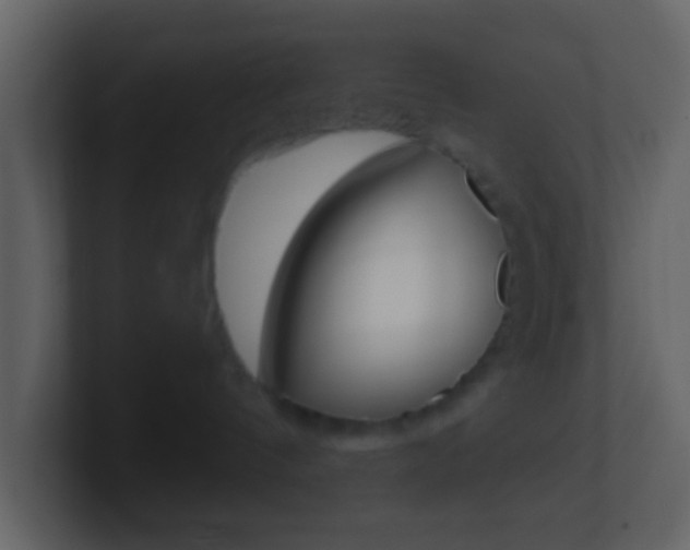 X0000101450144200807071119