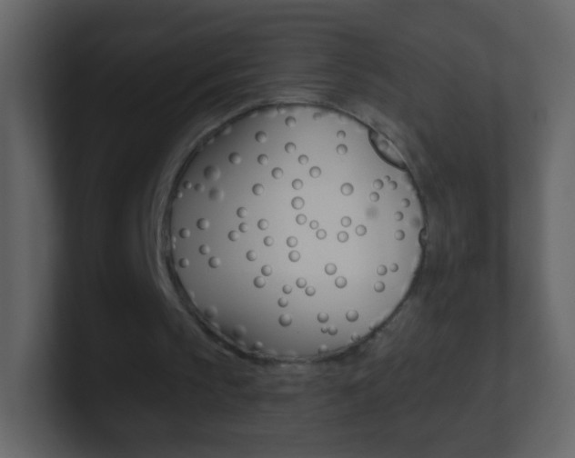 X0000101450145200807071118