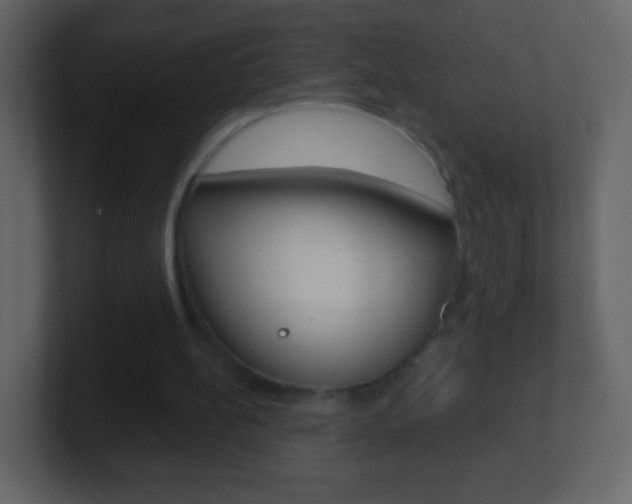 X0000101450148200807071118