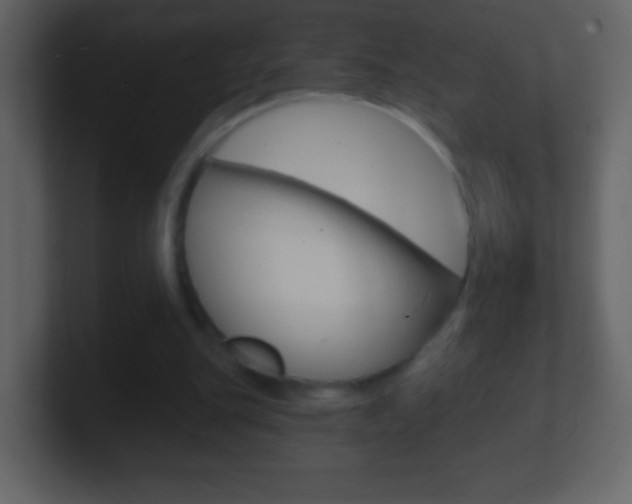 X0000101450151200807071118