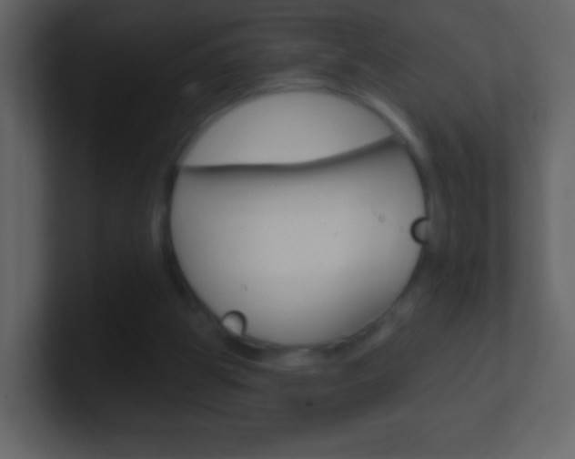X0000101450153200807071118