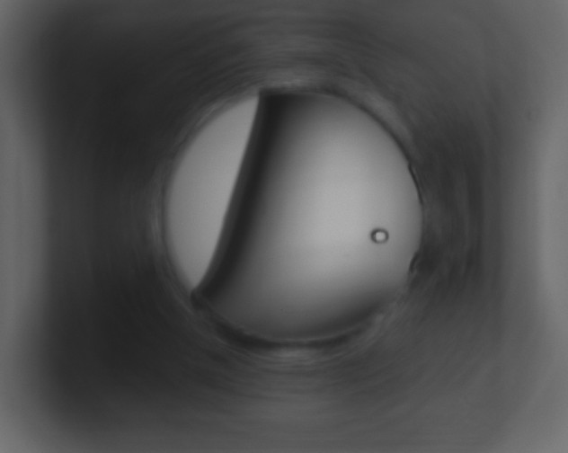 X0000101450154200807071118