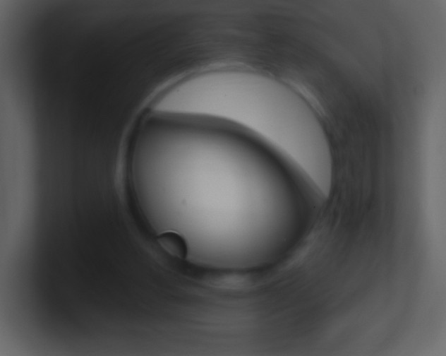 X0000101450156200807071118