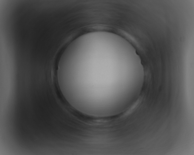 X0000101450158200807071118