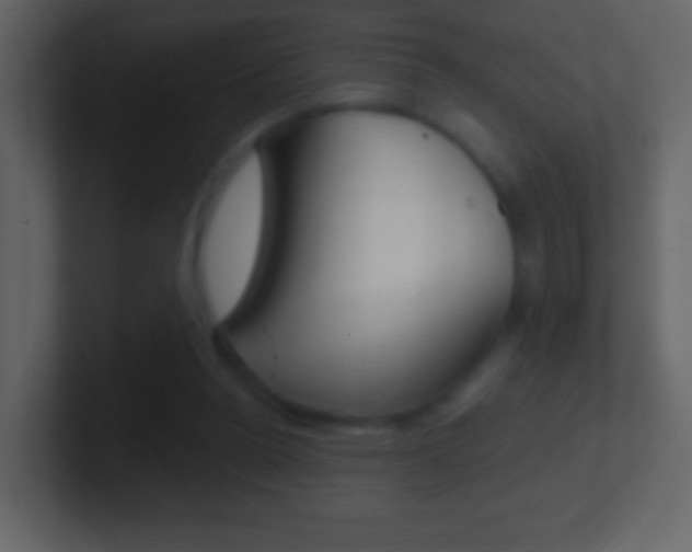 X0000101450160200807071118
