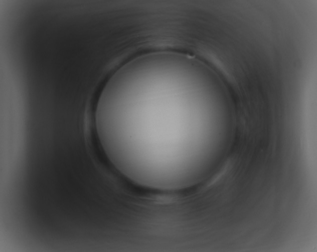 X0000101450164200807071118