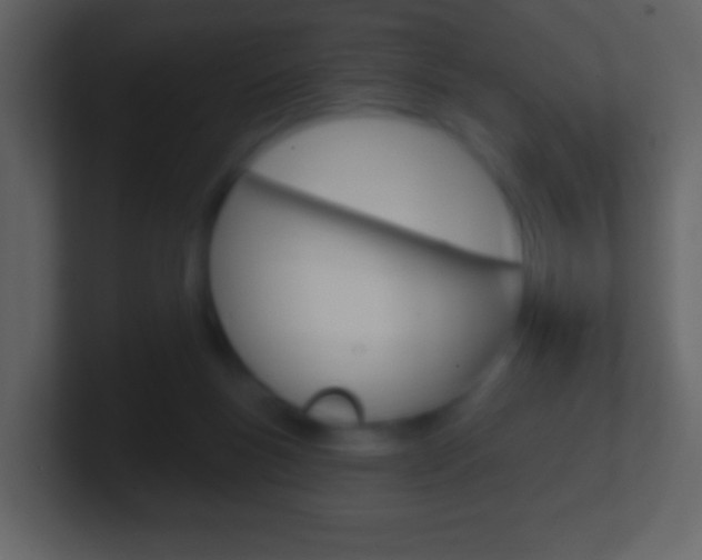 X0000101450167200807071118