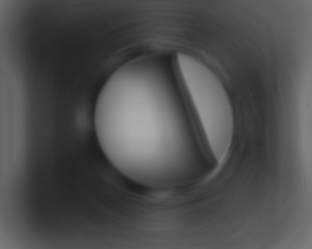 X0000101450170200807071118