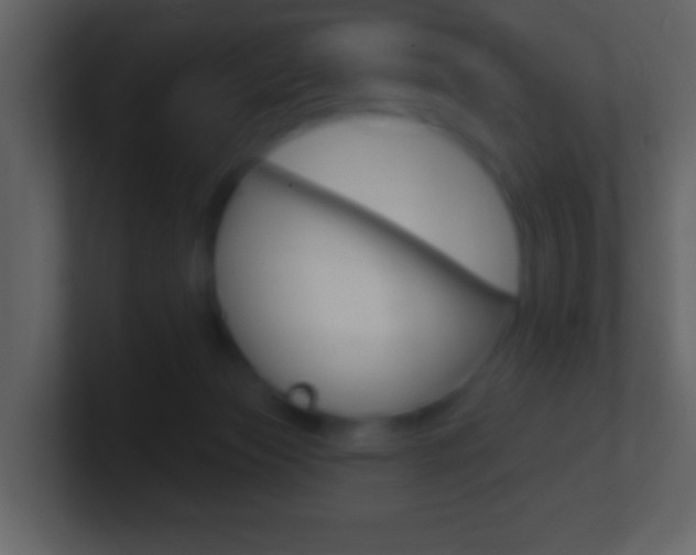X0000101450173200807071118