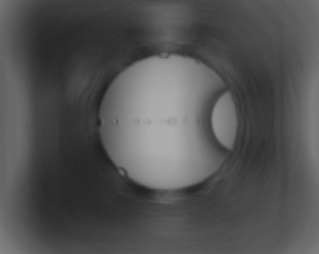 X0000101450181200807071118
