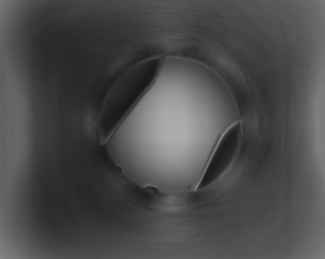 X0000101450184200807071118