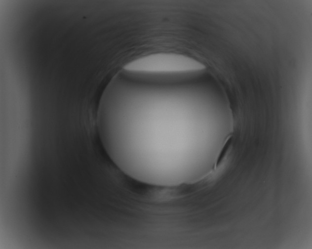 X0000101450186200807071118