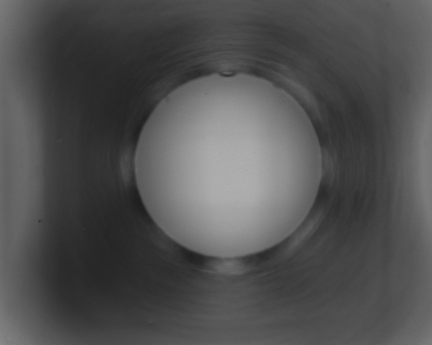 X0000101450189200807071119