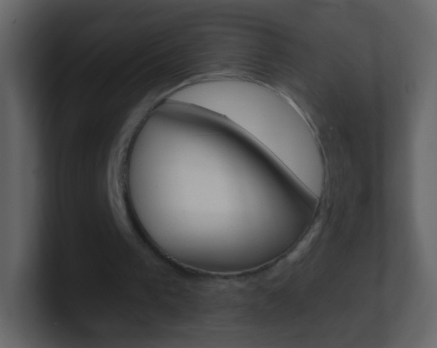 X0000101450193200807071118