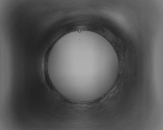 X0000101450194200807071118