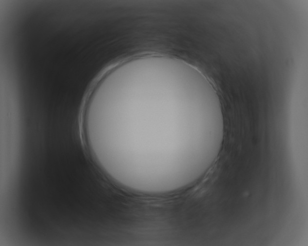 X0000101450196200807071118