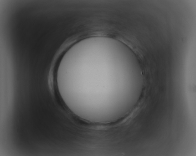 X0000101450198200807071118