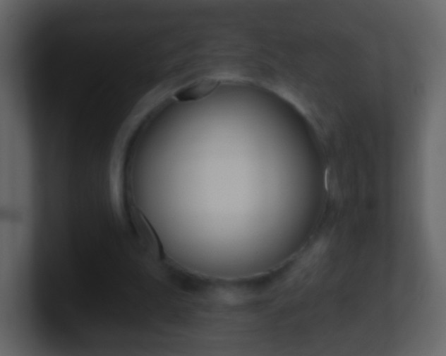 X0000101450199200807071118