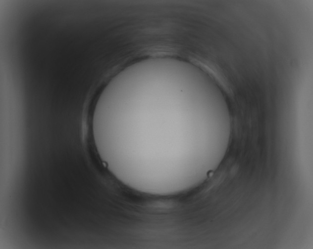 X0000101450202200807071118