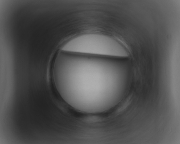 X0000101450203200807071118
