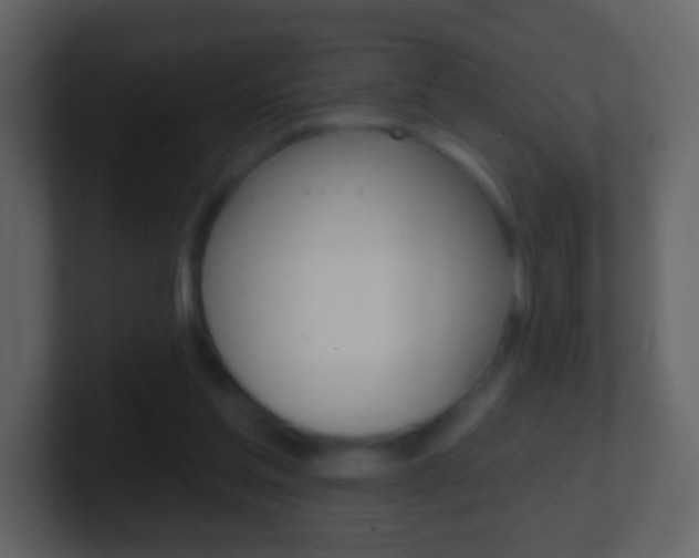 X0000101450205200807071118