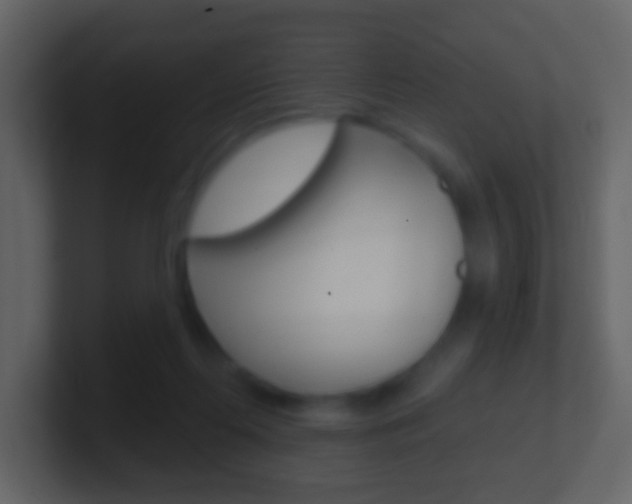 X0000101450214200807071118
