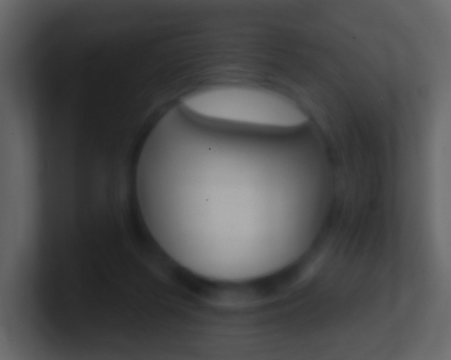 X0000101450215200807071118