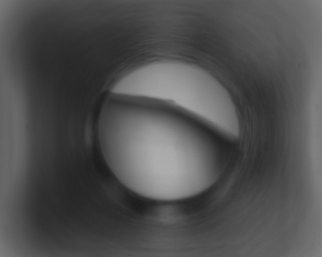 X0000101450216200807071118