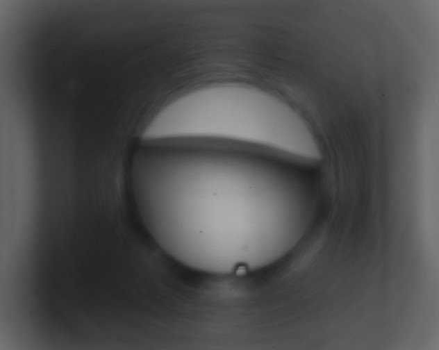 X0000101450221200807071118