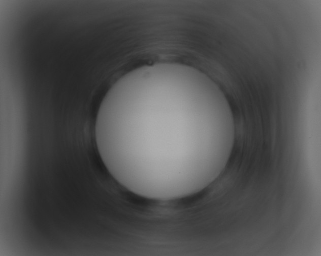 X0000101450222200807071118