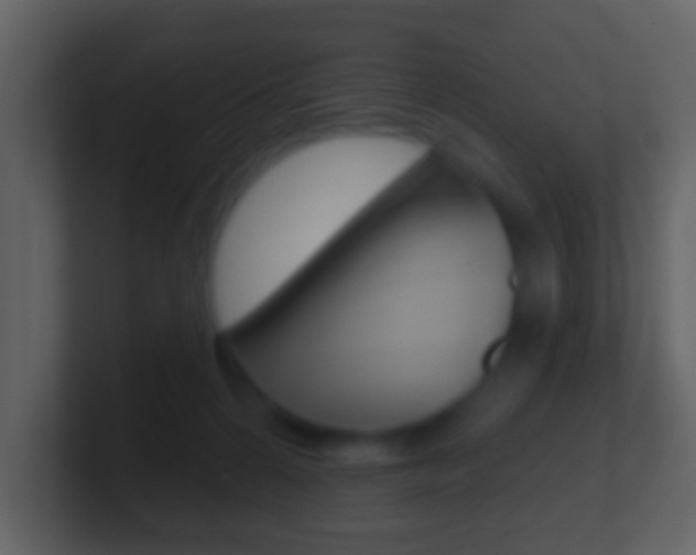 X0000101450224200807071117