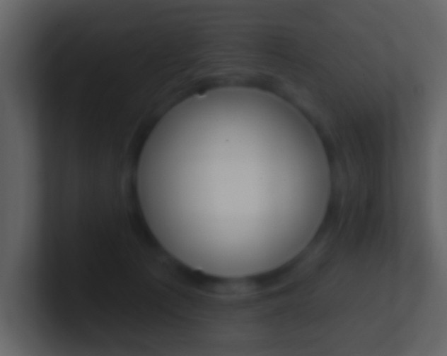 X0000101450225200807071117