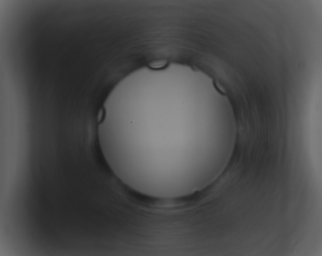 X0000101450231200807071117
