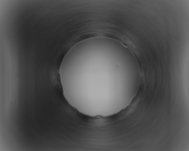 X0000101450237200807071117