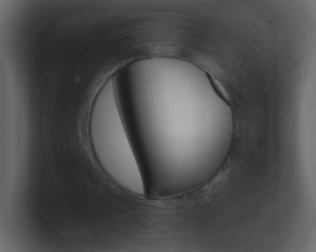 X0000101450241200807071116