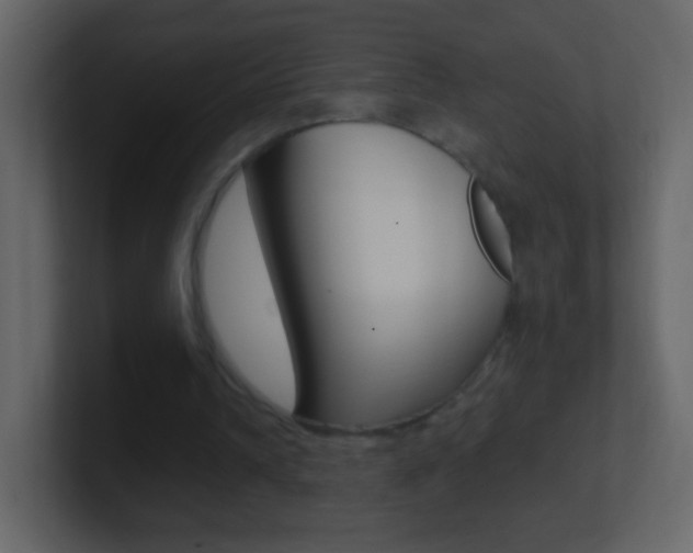 X0000101450242200807071117