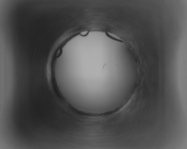 X0000101450246200807071117