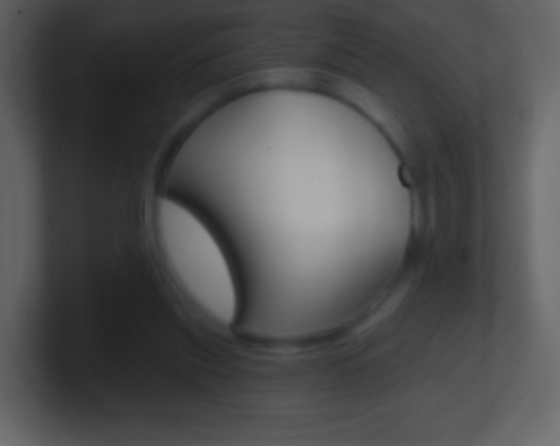 X0000101450253200807071117