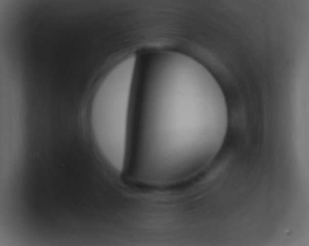 X0000101450256200807071117