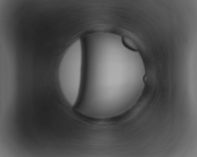 X0000101450259200807071117
