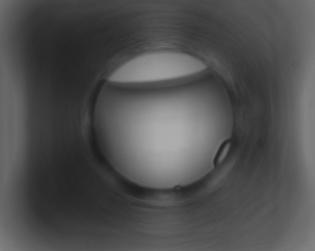 X0000101450260200807071117