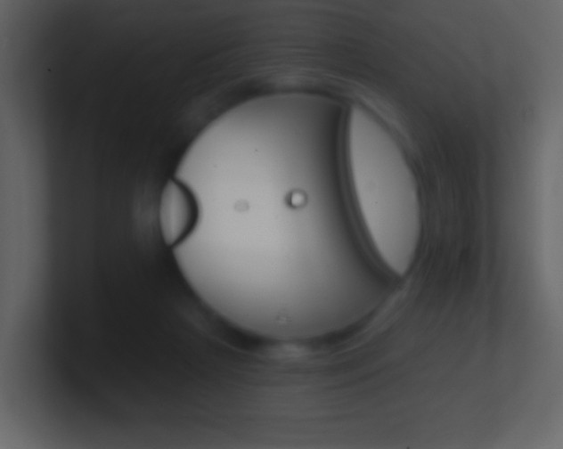 X0000101450265200807071117