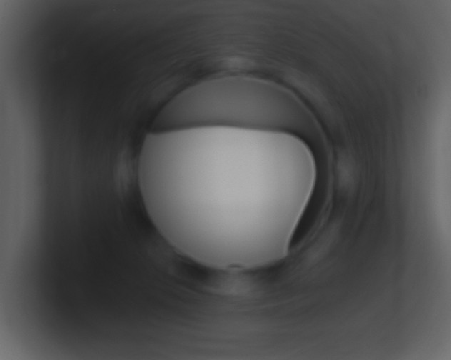 X0000101450276200807071117