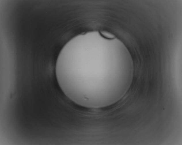 X0000101450279200807071117