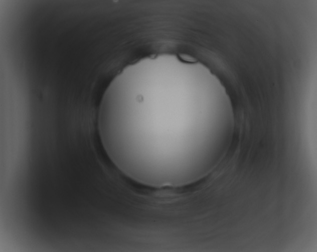 X0000101450280200807071117
