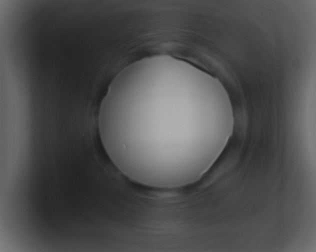 X0000101450284200807071117