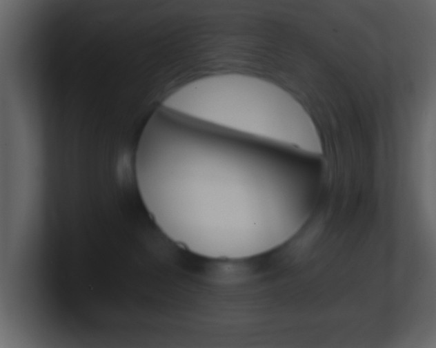 X0000101450286200807071117