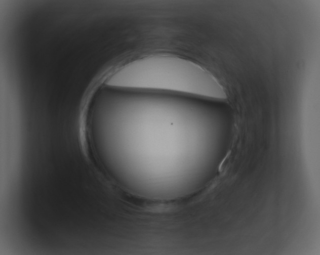 X0000101450293200807071116